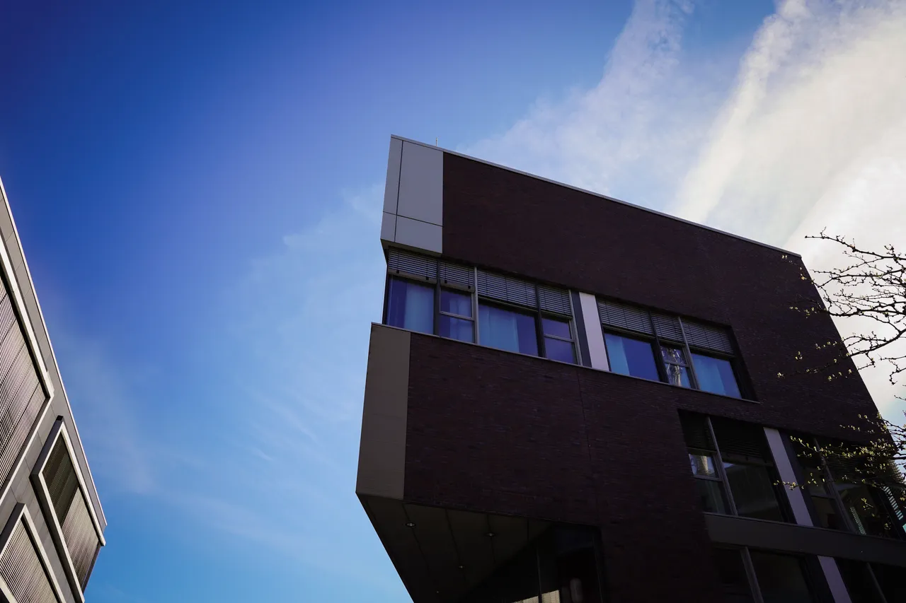 Impressions from Hoheluft - Image 5